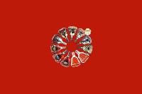 鄱阳县回收红酒